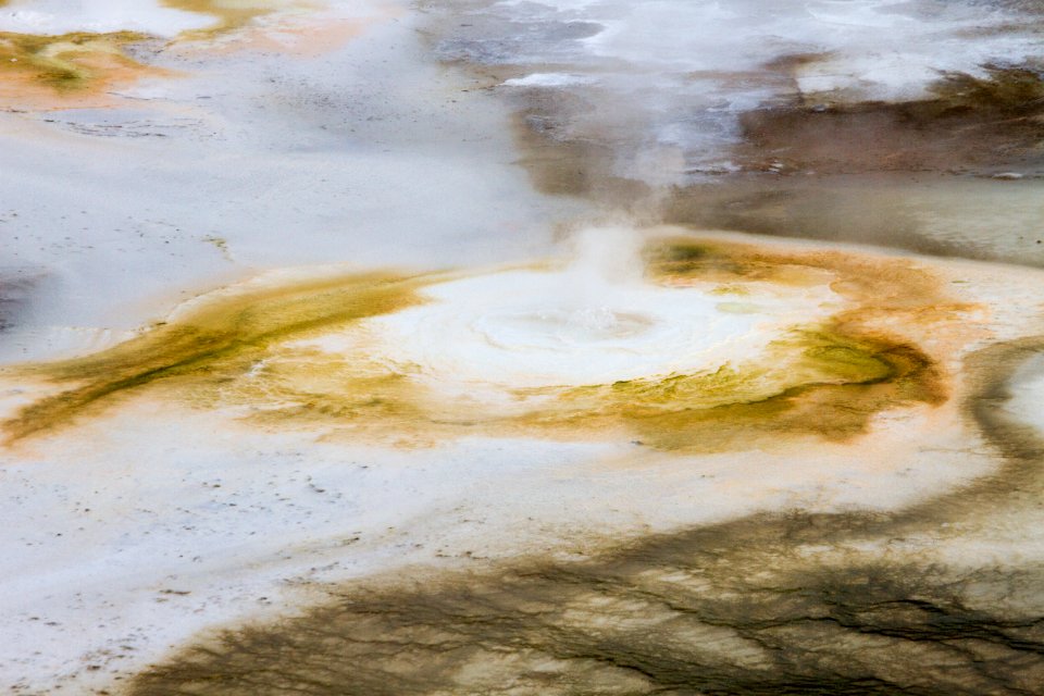 Thermal features in Porcelain Basin at Norris Geyser Basin