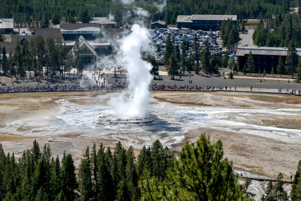 Old Faithful Geyser from Observation Point