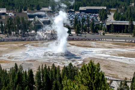 Old Faithful Geyser from Observation Point