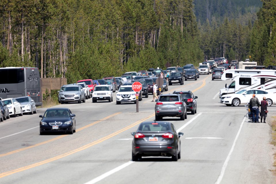 Traffic at Norris Junction (4)