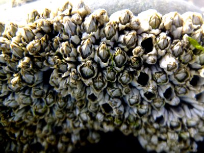 DSCF6598