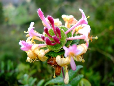 DSCF8485