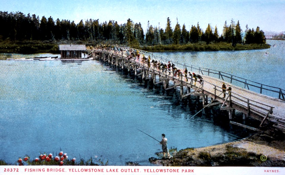 28372-people fishing at Fishing Bridge