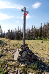 Boundary line between Yellowstone and Custer Gallatin National Forest photo