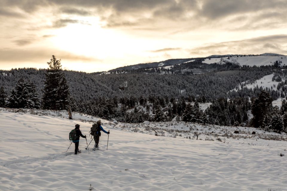 Yellowstone Forever Cougar course - Snowshoeing Junction Butte (2)
