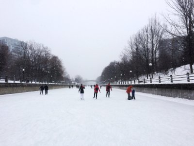 Skating on the Rideau Canal photo