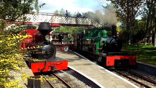 Statfold Barn Railway, 08/Sept/2019