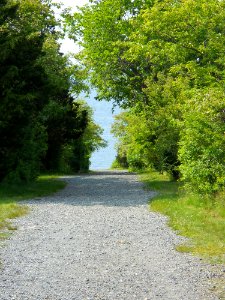 81 (Halibut Point Trail)