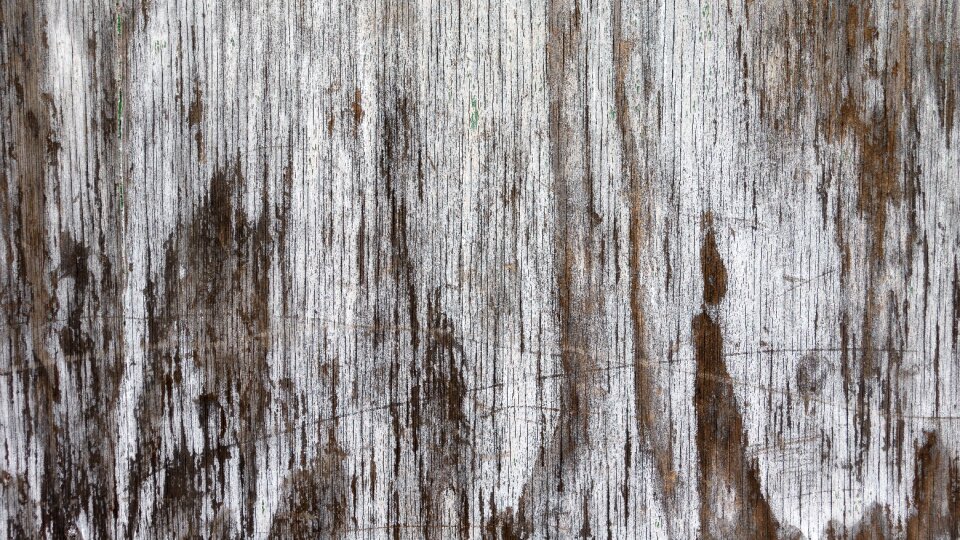 Weathered door plank photo