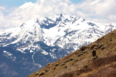 Electric Peak viewed from Bald Mountain photo