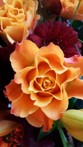 Ros flower bouquet