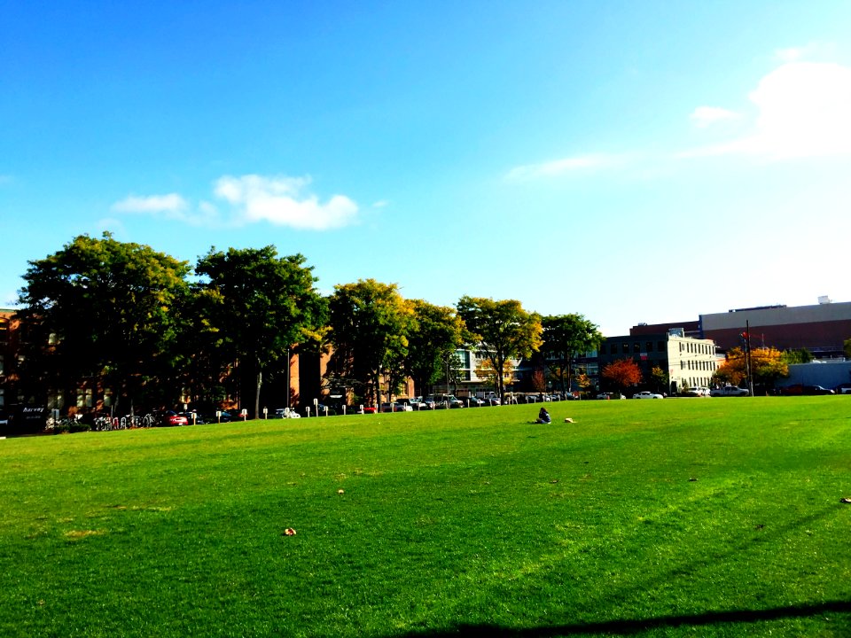 132 (East Cambridge, Rogers Street Park)