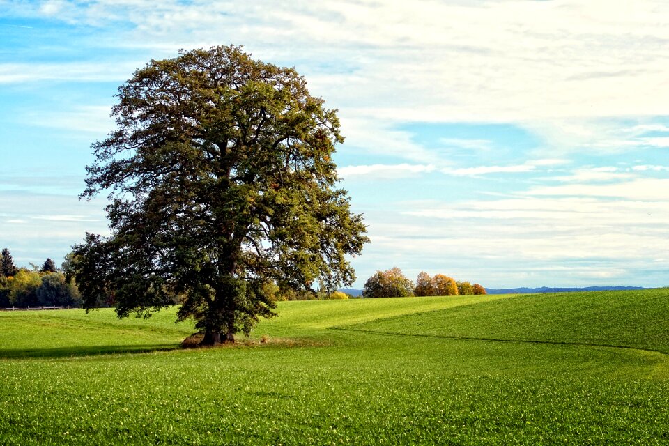 Chiemgau bavaria nature