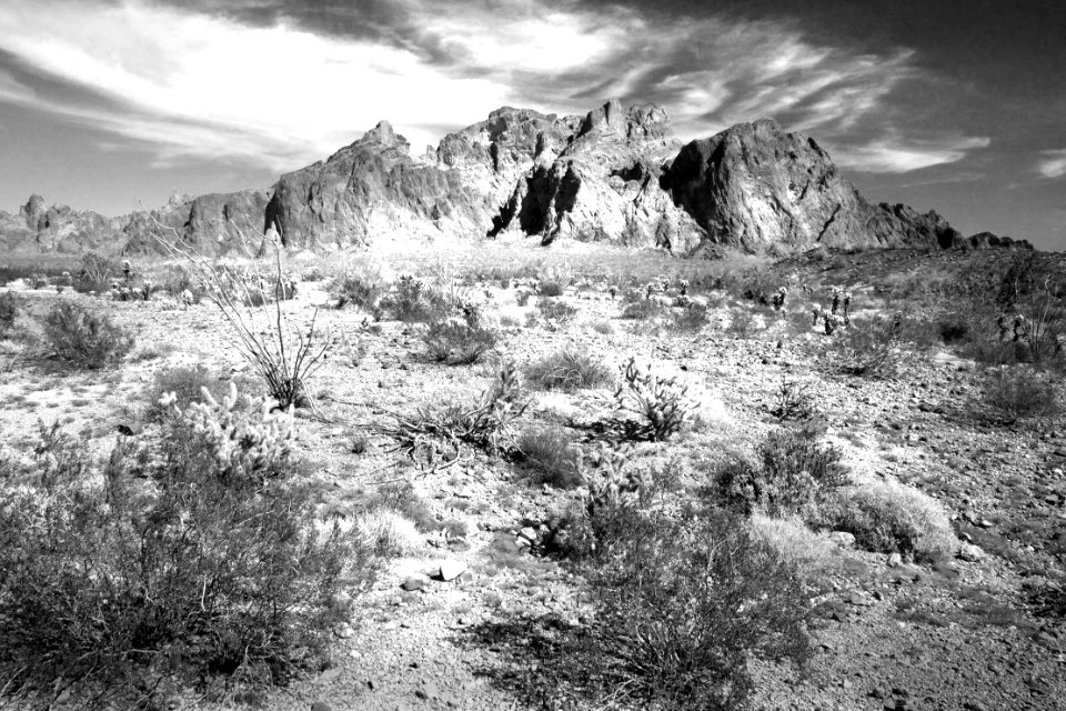 KOFA GAME RANGE, Palm Cyn Road (3-7-14) kofa game range, la paz co, az -03