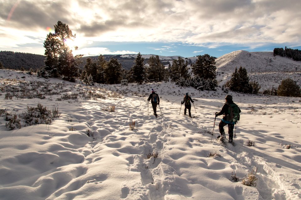 Yellowstone Forever Cougar course - Snowshoeing Junction Butte (3)