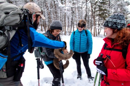 Yellowstone Forever Cougar course - Colby helps age a bighorn sheep skull photo