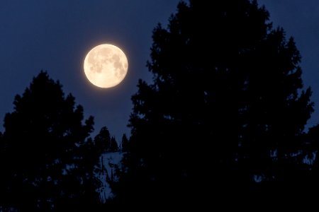 Full moon sets over ridge of Sepulcher Mountain photo