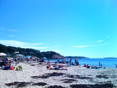 27 (Singing Beach)