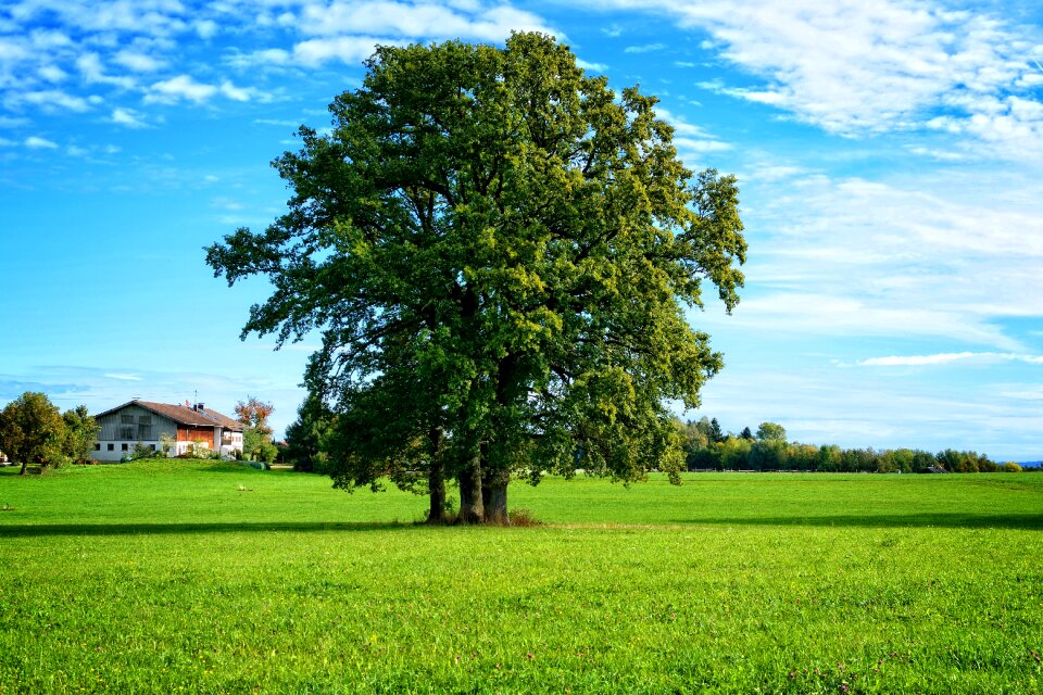 Chiemgau bavaria nature