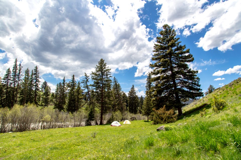 Backcountry views from along Hellroaring Creek (3)