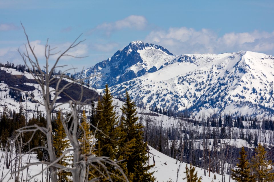 Monument Peak from Buffalo Plateau Trail