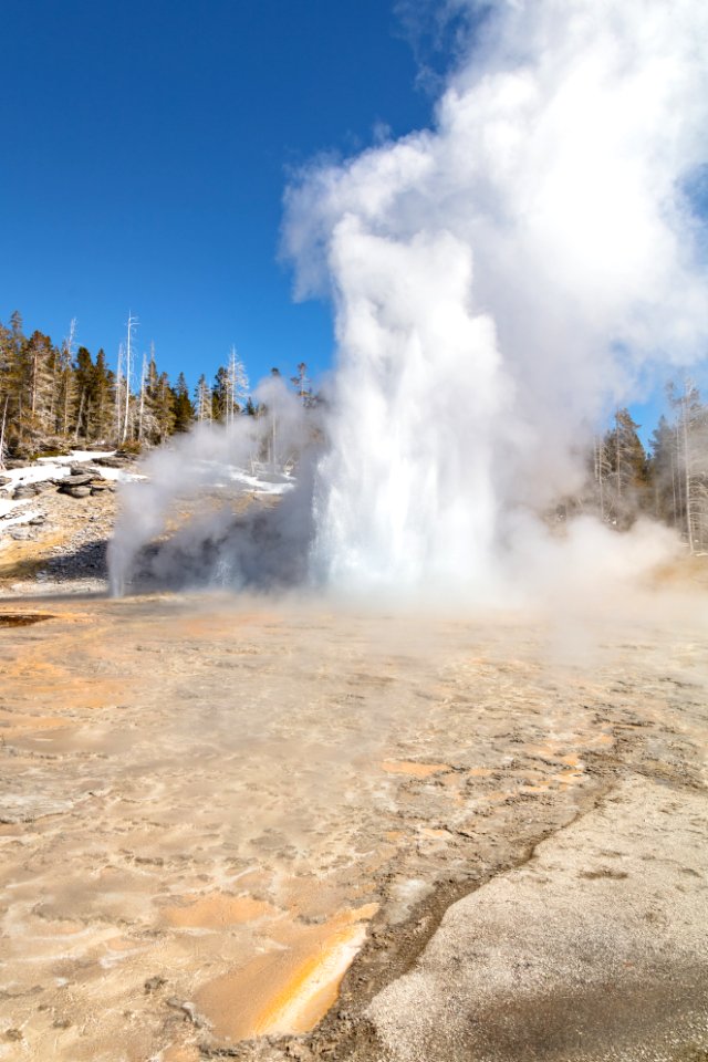 Grand Geyser eruption opening day 2018 (portrait)