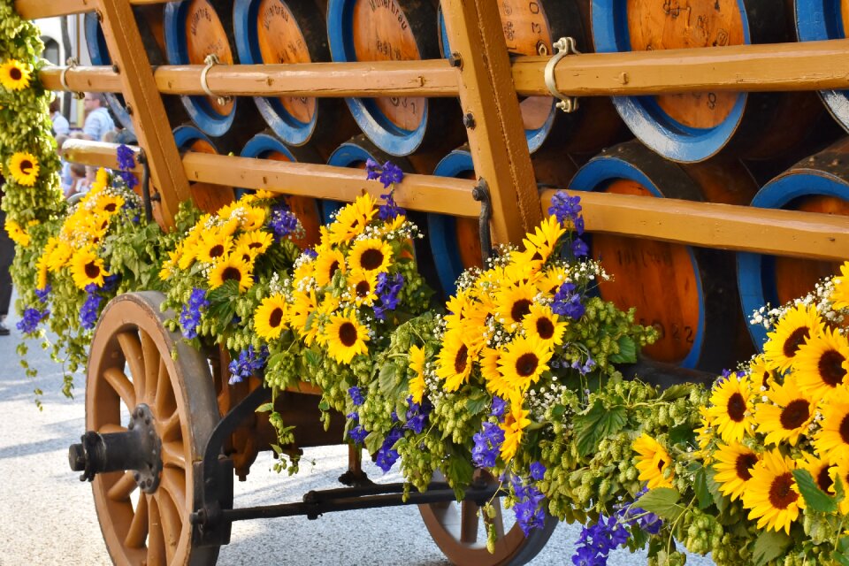 Barrel coach pageant catchment