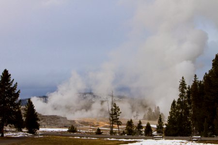 Castle and Grand Geyser in the Upper Geyser Basin