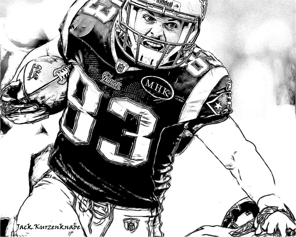 - New England Patriots Wes Welker