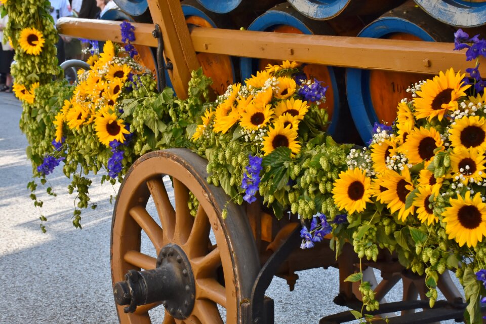 Barrel coach pageant catchment