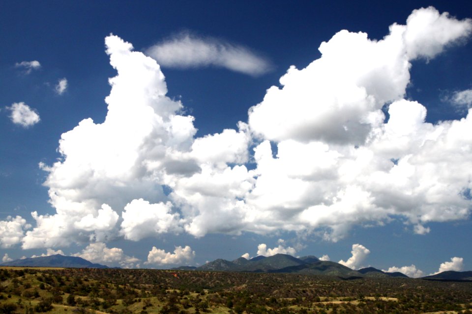 BOG HOLE AREA, SE of Patagonia, scc, az (7-23-12) -02