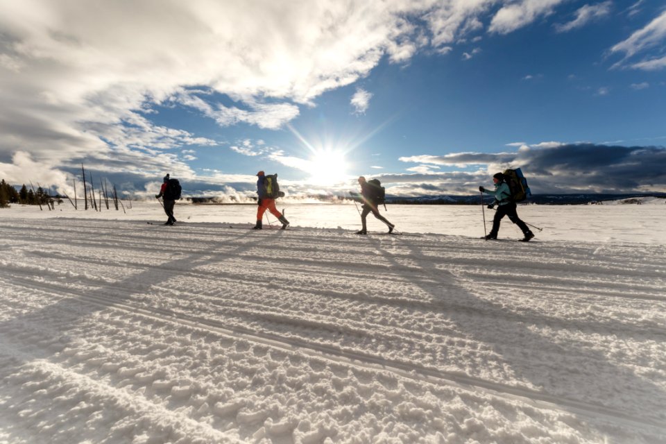 Backcountry campers ski along the road in Lower Geyser Basin at sunset