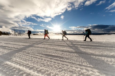 Backcountry campers ski along the road in Lower Geyser Basin at sunset