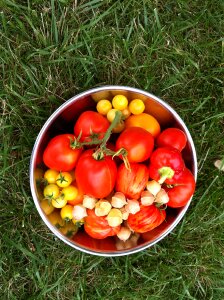 Peppers bowl healthy