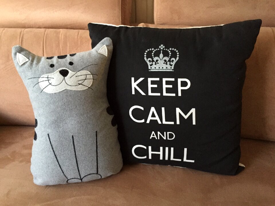 Keep calm kitten cat