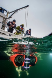 NPS Submerged Resources Center aids with Yellowstone's aquatic invasive species program (10) photo