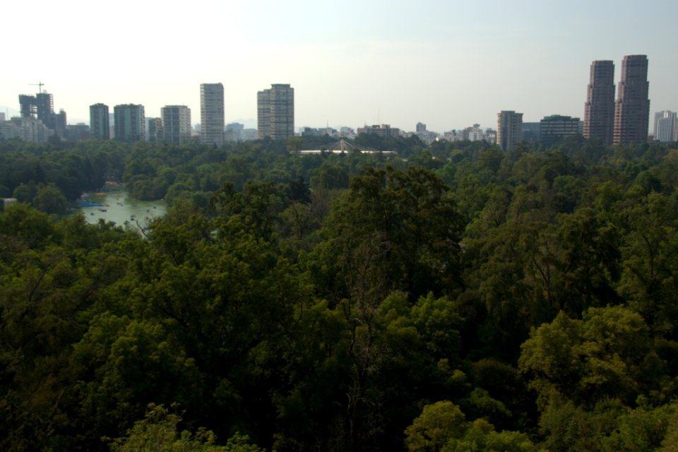 098 (View of Polanco)