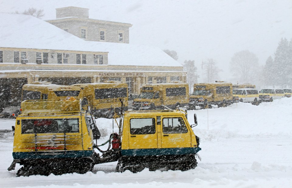 Snowcoaches at Mammoth