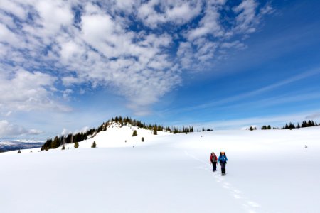 Snowshoeing Buffalo Plateau in spring (4) photo