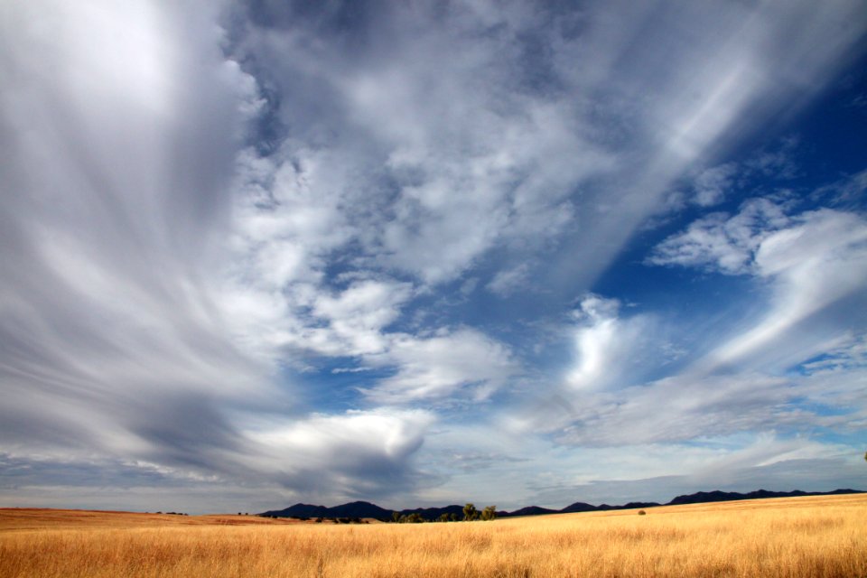 SAN RAFAEL VALLEY GRASSLANDS, SE of Patagonia, scc, az (11-15-12) -18 looking n toward santa rita mts