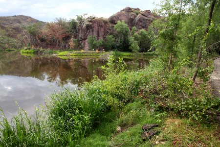 PENA BLANCA LAKE after fire (8-6-11) west of nogales, scc, az -08