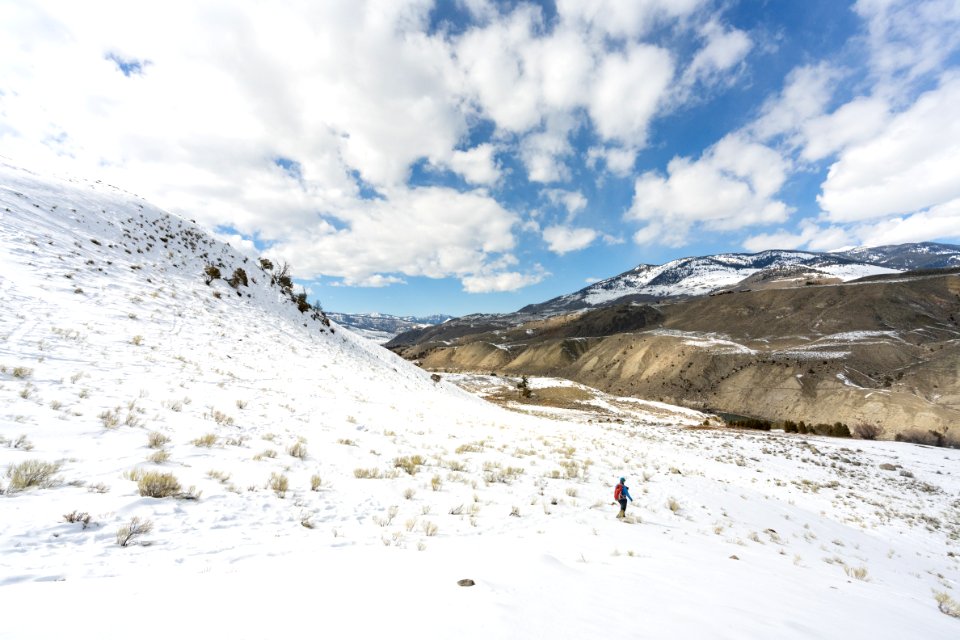 Fresh snow on the Rescue Creek Trail photo