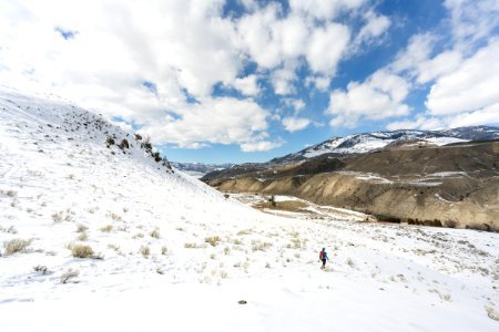 Fresh snow on the Rescue Creek Trail photo