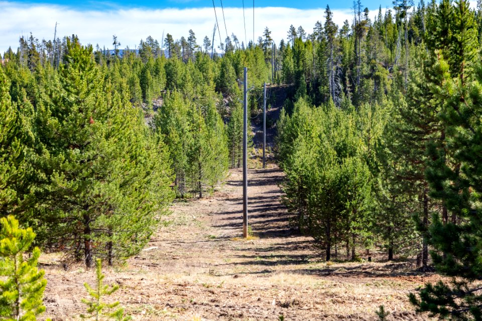Grant fuels project: after treatment under powerlines