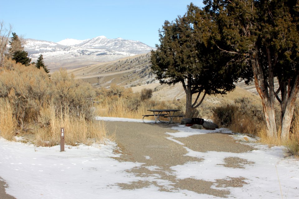 Mammoth Hot Springs Campground