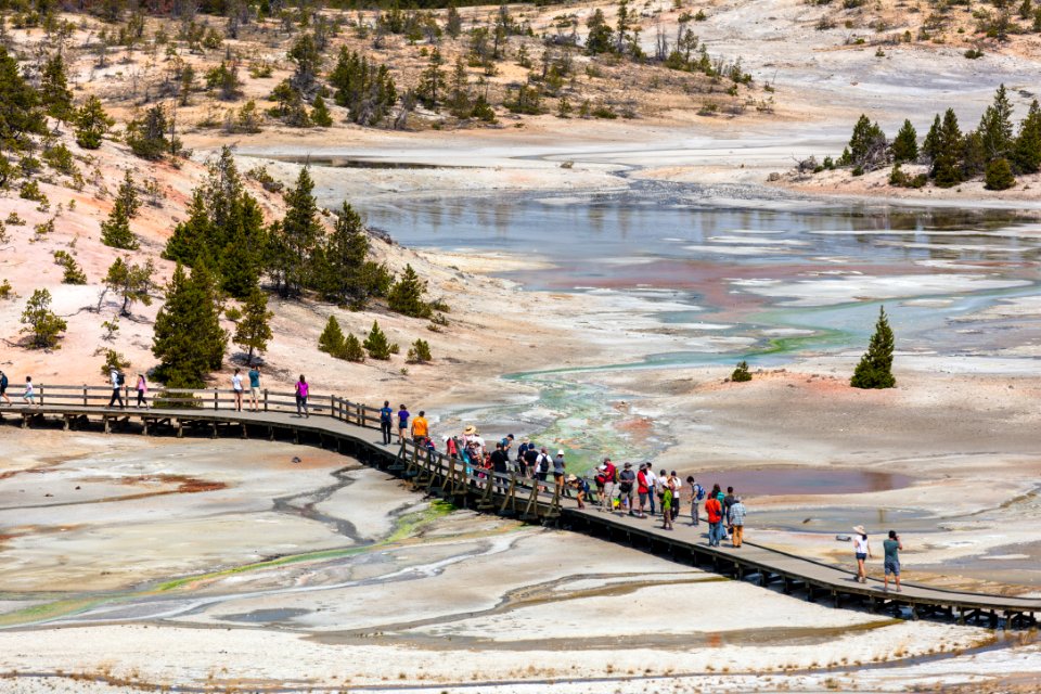 Norris Geyser Basin boardwalks and people