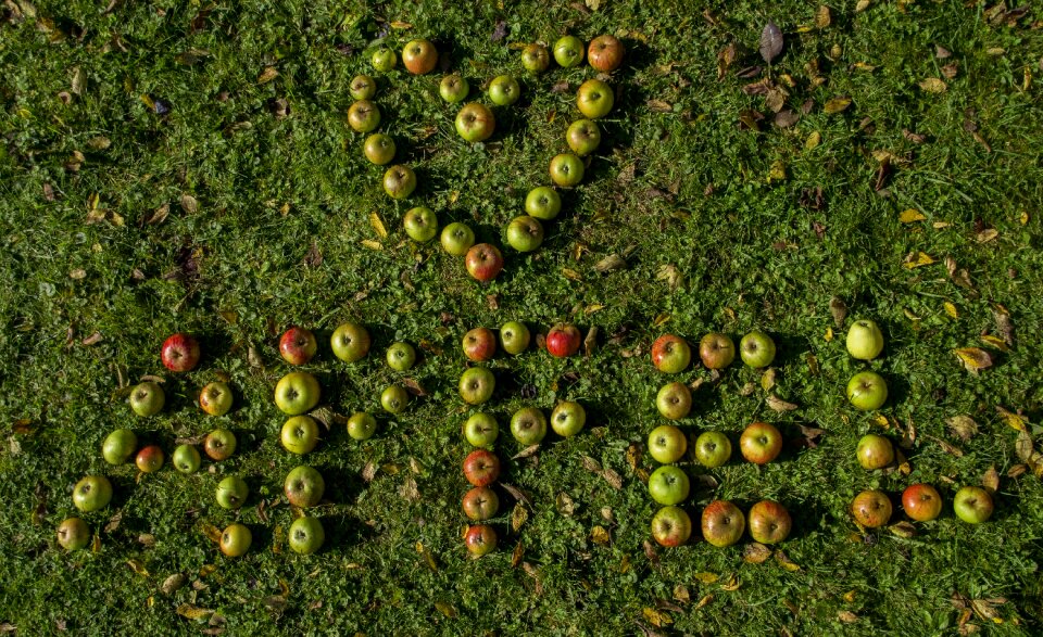 Healthy letters word