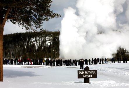 Old Faithful Geyser eruption