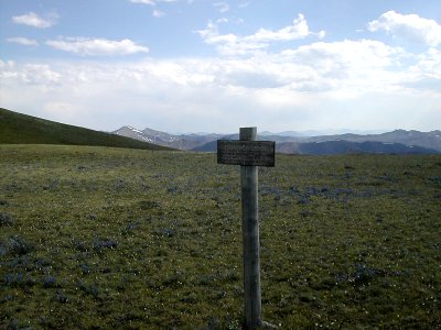 Looking into Yellowstone from Republic Pass