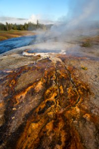 Hot spring & thermophiles, Upper Geyser Basin photo